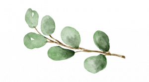 Chakra, chico, zara kids, hm kids, oysho, trendyolve senin hikayen, aile ve bebek fotoğrafçısı, life style, doğal fotoğraf, tuğba kobal fotoğraf, Senin Hikayen Dergi, Canva tasarım, canvave senin hikayen, aile ve bebek fotoğrafçısı, life style, doğal fotoğraf, tuğba kobal fotoğraf, Senin Hikayen Dergi, Canva tasarım, canva, babies and photographers, hit the moment, webtures